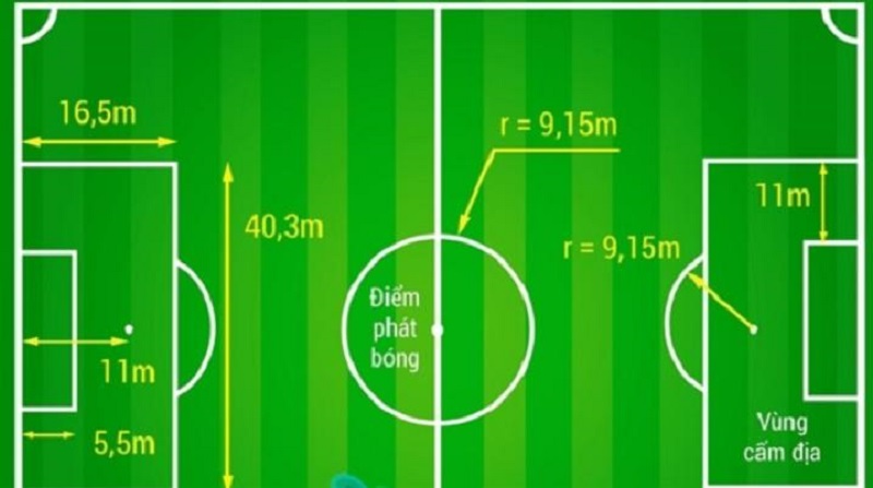 Diện tích sân bóng đá mini 7 người đạt chuẩn Diện tích sân bóng đá mini 7 người đạt chuẩn