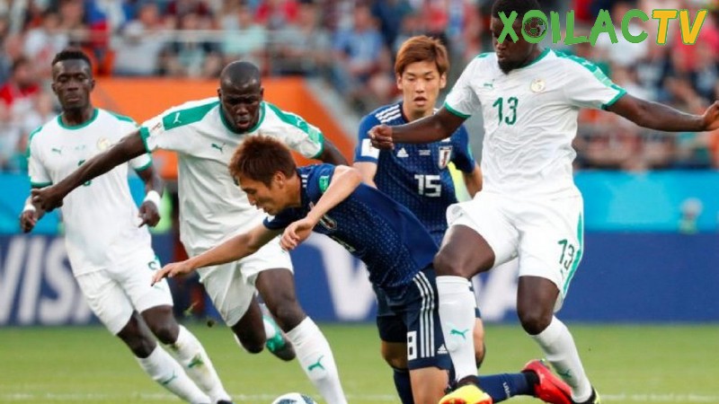 Chơi Fair Play chính là nâng cao tinh thần đạo đức và nhân cách của các vận động viên Chơi Fair Play chính là nâng cao tinh thần đạo đức và nhân cách của các vận động viên