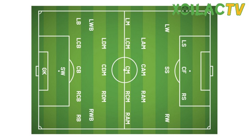 Vị trí CDM trong bóng đá là tiền vệ phòng ngự Vị trí CDM trong bóng đá là tiền vệ phòng ngự